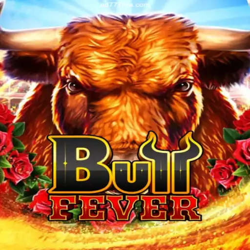 Exploring BullFever: A Thrilling Casino Adventure